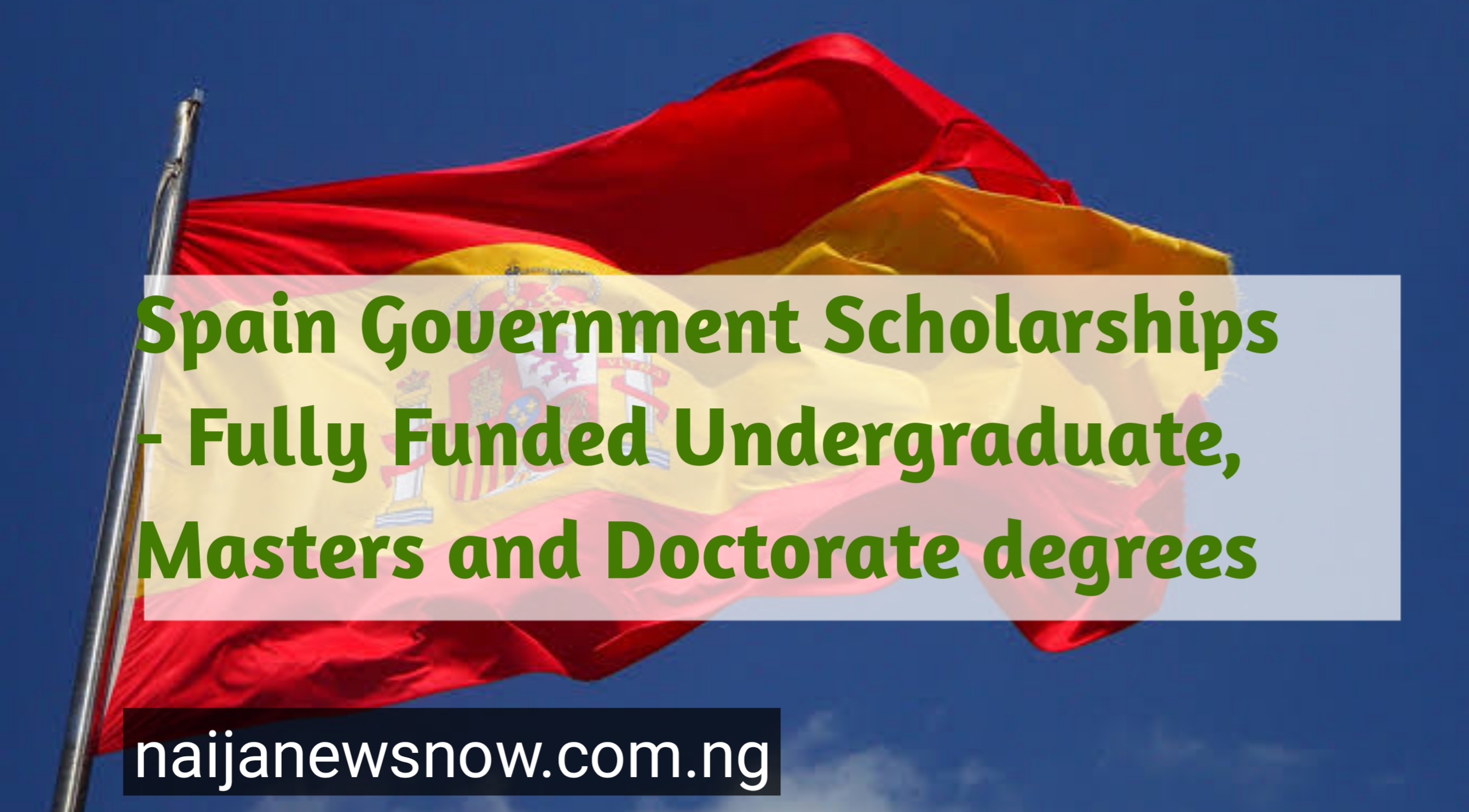 Spain government Scholarships