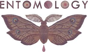 Top Entomology Schools to get into