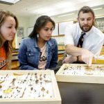 Entomology Schools to get into