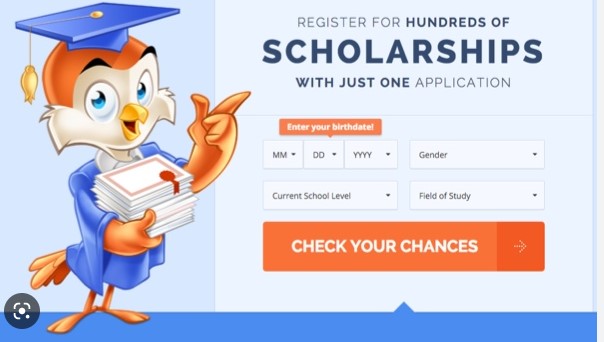 Scholarship owl